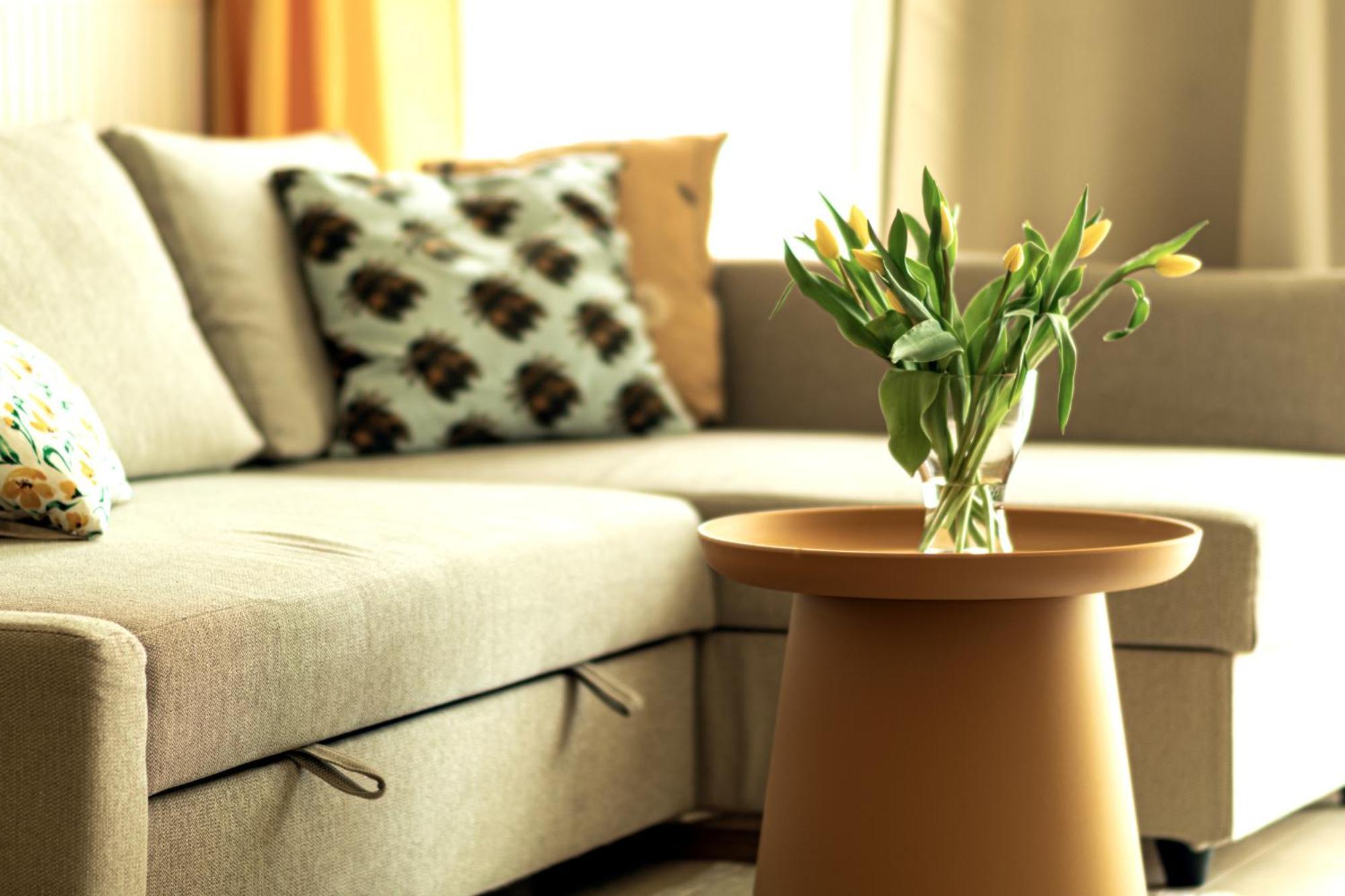 Apartment Colour House